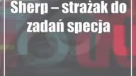 Świdnik: IV Świdnik Air Festival  drugi dzień