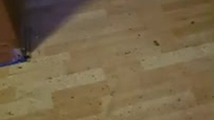 SZYMON 37 (Piotr vel Marek, Warka)