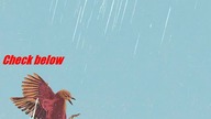 Real Friends Composure full album download