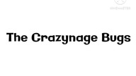 The Teenager Bugs - The Crazynage Bugs Remastered (2021)