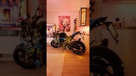 TO JUŻ TEN CZAS! STROIMY CHOINKĘ *święta* #motocykl #choinka
