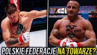 Dlaczego Fame MMA i KSW Są Nietestowane?
