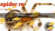 New home Spider , ( spider ATTACK)