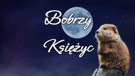 Bobrzy Księżyc - pełnia, listopad 2024
