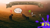 SPS# 74 pt.  Owiec Wtórne Zwodzenie. 