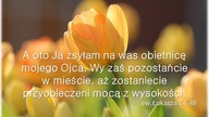Audycja Wyzwolony - Johny Garcia