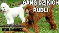 SZALONE PUDLE POWRACAJĄ - World of Tanks