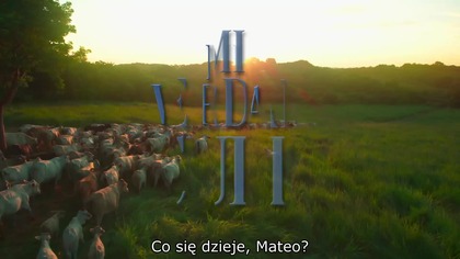 Mi verdad oculta 019 NAPISY PL