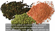 Soczewica  Dlaczego warto ją jeść? ZOBACZ KONIECZNIE