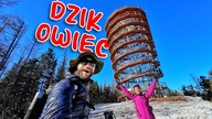 Dzikowiec - Najlepsza wieża w Sudetach?