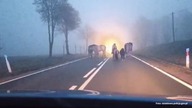 Noworoczna wędrówka koni, kucyków i osła.  Stado wystraszyły fajerwerki i petardy [KSTV Info]