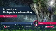Wglądy Duchowe Dorota - Drzewo życia Nie tego się spodziewaliśmy Prawdziwa konstrukcja matriksa