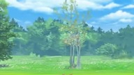 Łapanie spearowa w pokemon go