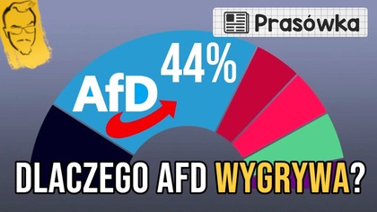 Kto głosuje na AfD? (i podobne partie) | Przegląd Idei #232 (14. 09. 2026)