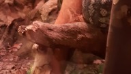 #WarsawZoo snek  #megawonsz9 