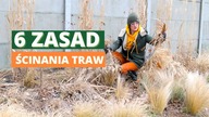 6 zasad scinania TRAW OZDOBNYCH po zimie.  Jak przygotować trawy ozdobne do wiosny?