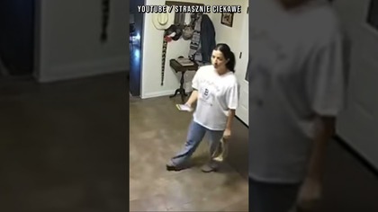 Zwierzęta gapiły się w jedno miejsce...  