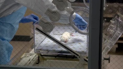 Containment. S01E08. Lektor PL