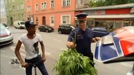 Czy to ganja?