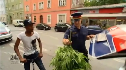 Czy to ganja?