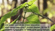 Mówili że pokrzywa jest dobra ALE NIE AŻ TAK!