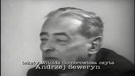 Witold Gombrowicz.  Dokument