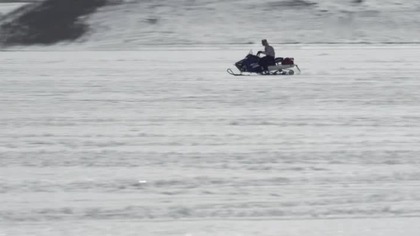 Rekiny lodołamacze (Ice Sharks) 2016. 480p