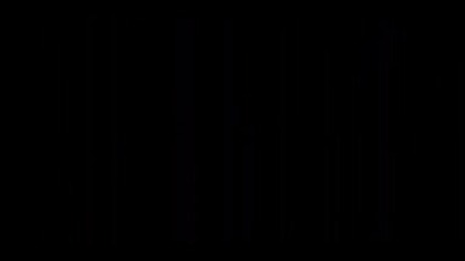3 pro