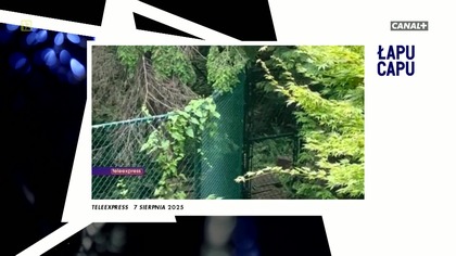 Łapu Capu (8 sierpnia 2025)