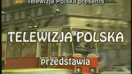 Zespol. Adwokacki. E06. 1993.pl. DVBRIP. XVID
