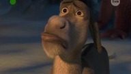 Pada shrek 5