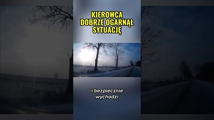 Sarna przed maską! Poślizg i walka o kontrolę  #sarna #poślizg #dashcam #polskiedrogi