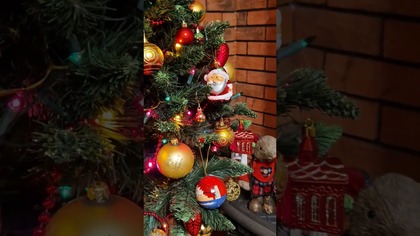 Magia Świąt zaklęta w choince 