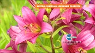 HGTV - 24-01-2022 - Reklama 2x, Zapowiedzi