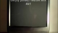 Ukryty polski język