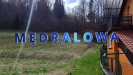 Mędralowa z psem