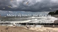 Amok wok&oacute;ł pandemii koronawirusa - dr Marek Orkiszewski