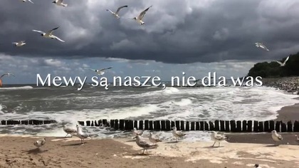 Amok wok&oacute;ł pandemii koronawirusa - dr Marek Orkiszewski
