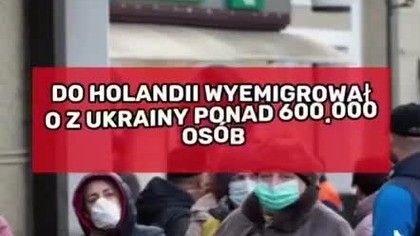 Ukraińcy w Holandii mp4 686x432