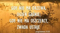 Audycja Wyzwolony William Comfort