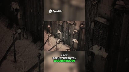 Koszmarny Eksperyment Calhouna Upadek Społeczeństwa