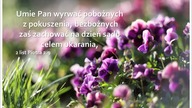 Audycja Wyzwolony Wiliam Wilmerton