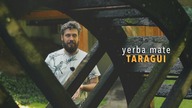 TARAGUI yerba mate | Czajnikowy.pl