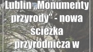 Lublin: Monumenty przyrody - nowa ścieżka przyrodnicza w Lublinie