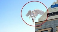 10 PRAWDZIWYCH ANIOŁÓW NAGRANYCH NA KAMERZE