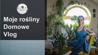 Jak podlewać, przesadzać kwiaty domowe? Jak dbać o rośliny doniczkowe? Vlog #1