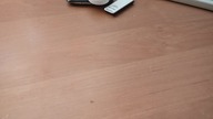 Testowanie niedawno kupionych dyskietek [karta graficzna padła]
