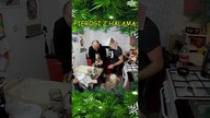 ŚWIĄTECZNE PIEROGI Z @HalamaGrzegorz #4
