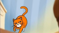 Halo cats