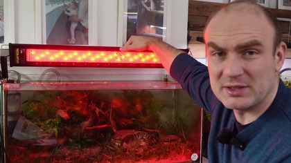 Lampa dla takich akwarystów jak ja.  Sincor Vivatron.